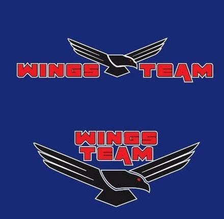 New logo WINGS team 2022 